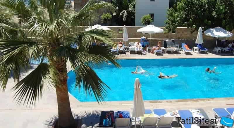 Serene Beach Resort 