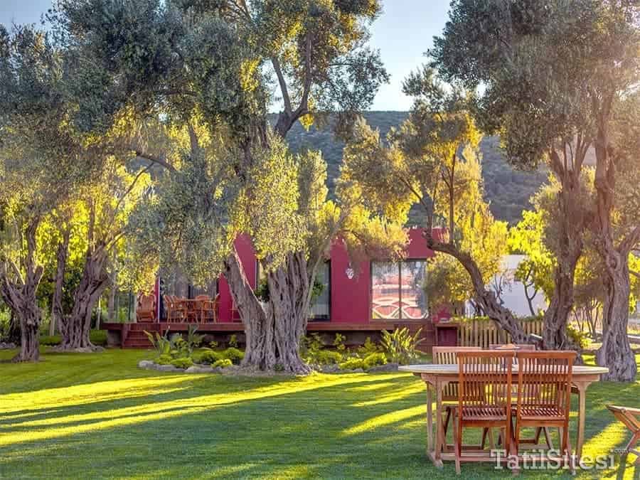 Bloom Hotel Alaçatı