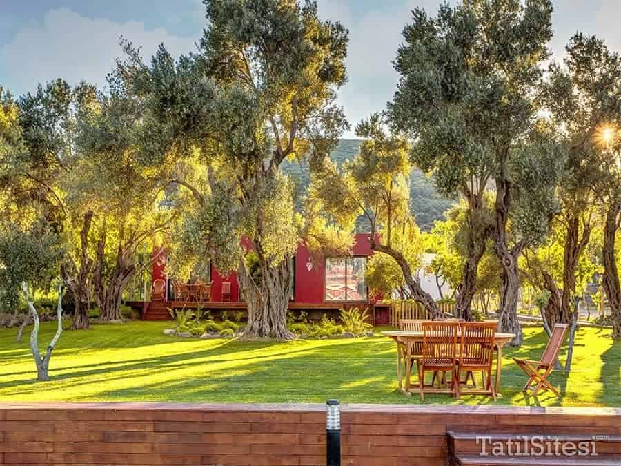 Bloom Hotel Alaçatı