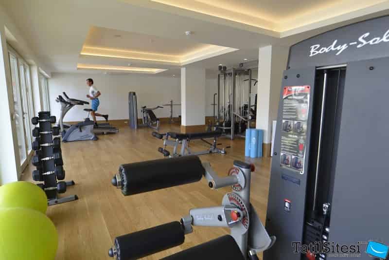 Barut Andız 