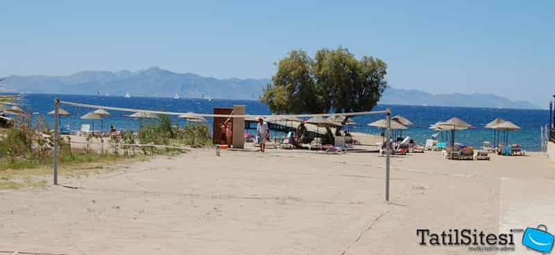 Serene Beach Resort 