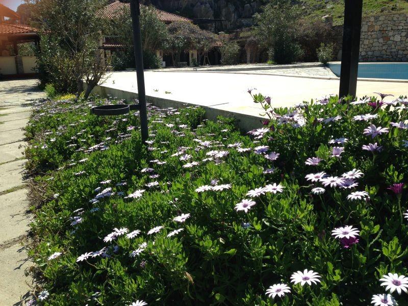 Alarga Sail Butik Otel Yat Club