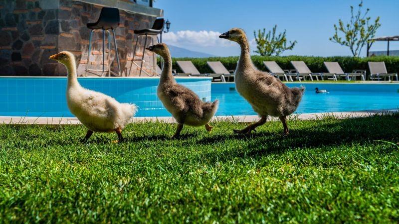 Ali`s Farm Boutique Hotel Spa