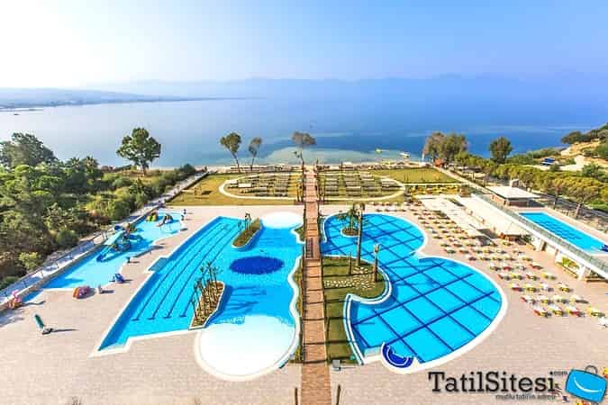 Amara Sealight Elite