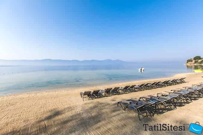 Amara Sealight Elite