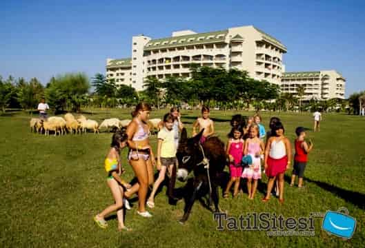 Amelia Beach Resort Hotel