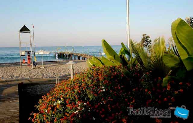 Amelia Beach Resort Hotel