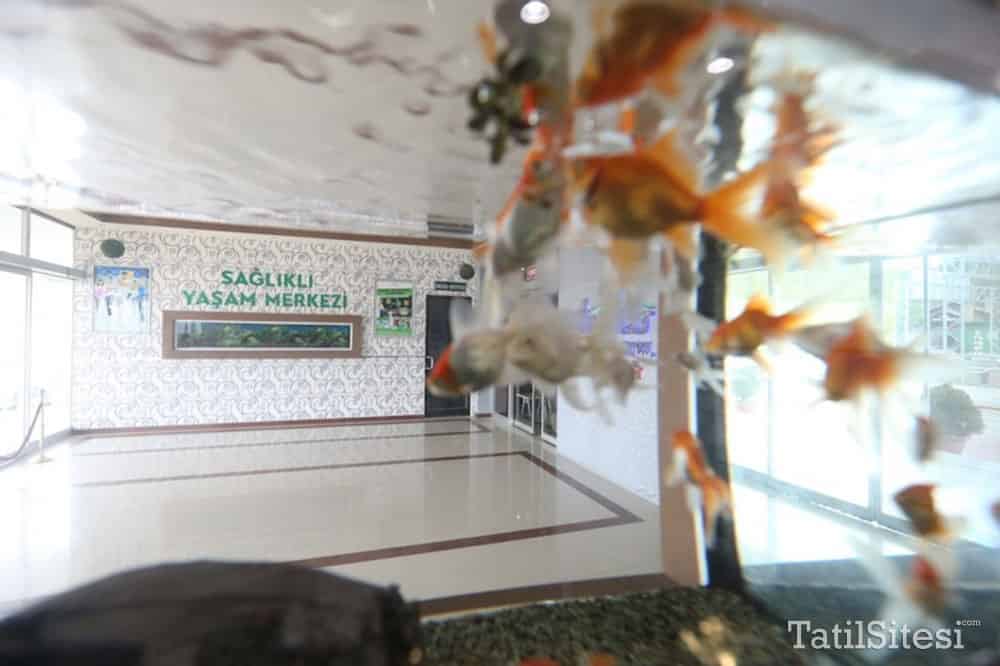 Anvatar Termal Hotel