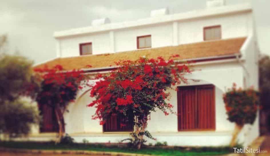 Bare Hill Holiday Village
