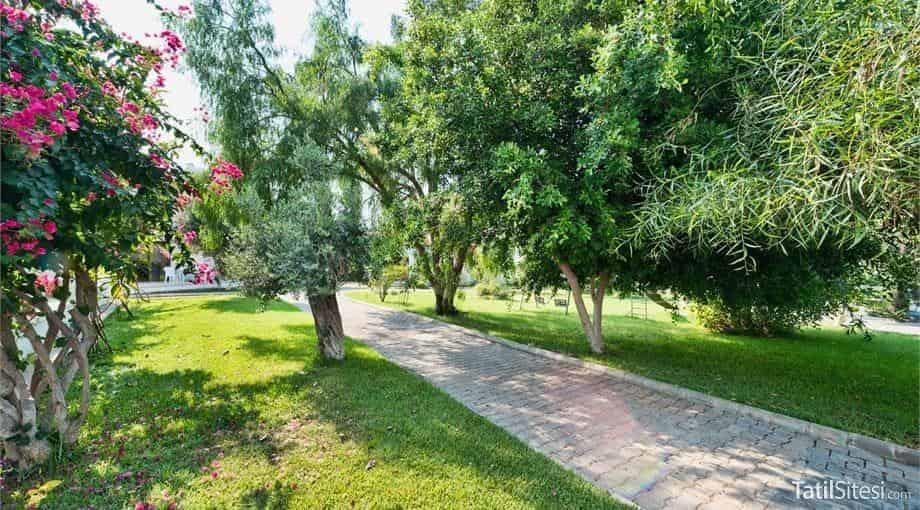 Bare Hill Holiday Village
