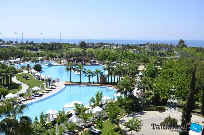 Barut Lara