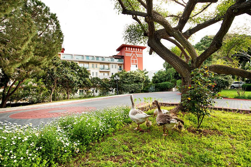 Belconti Resort Hotel