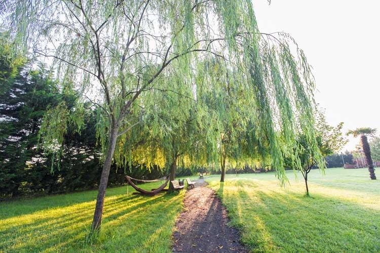 Best Western Şile Gardens Hotel & Spa