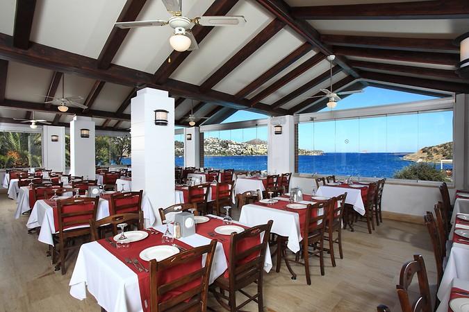 Cactus Mırage Famıly Club