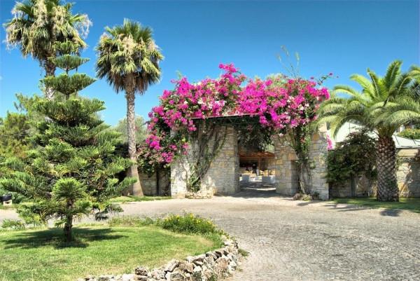 Cande Ora Tatil Köyü