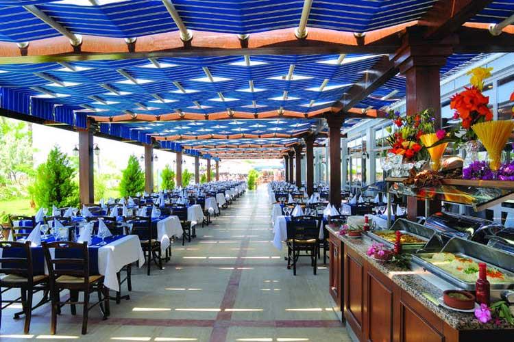 Club Cactus Paradise