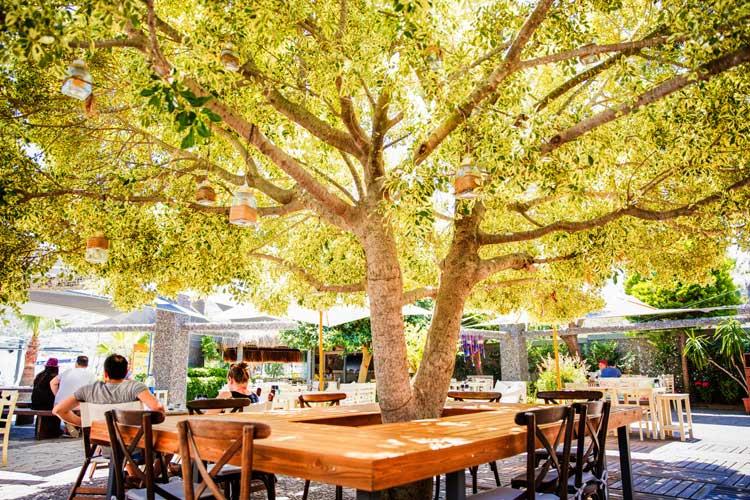 Costa Farilya Special Class Hotel Bodrum