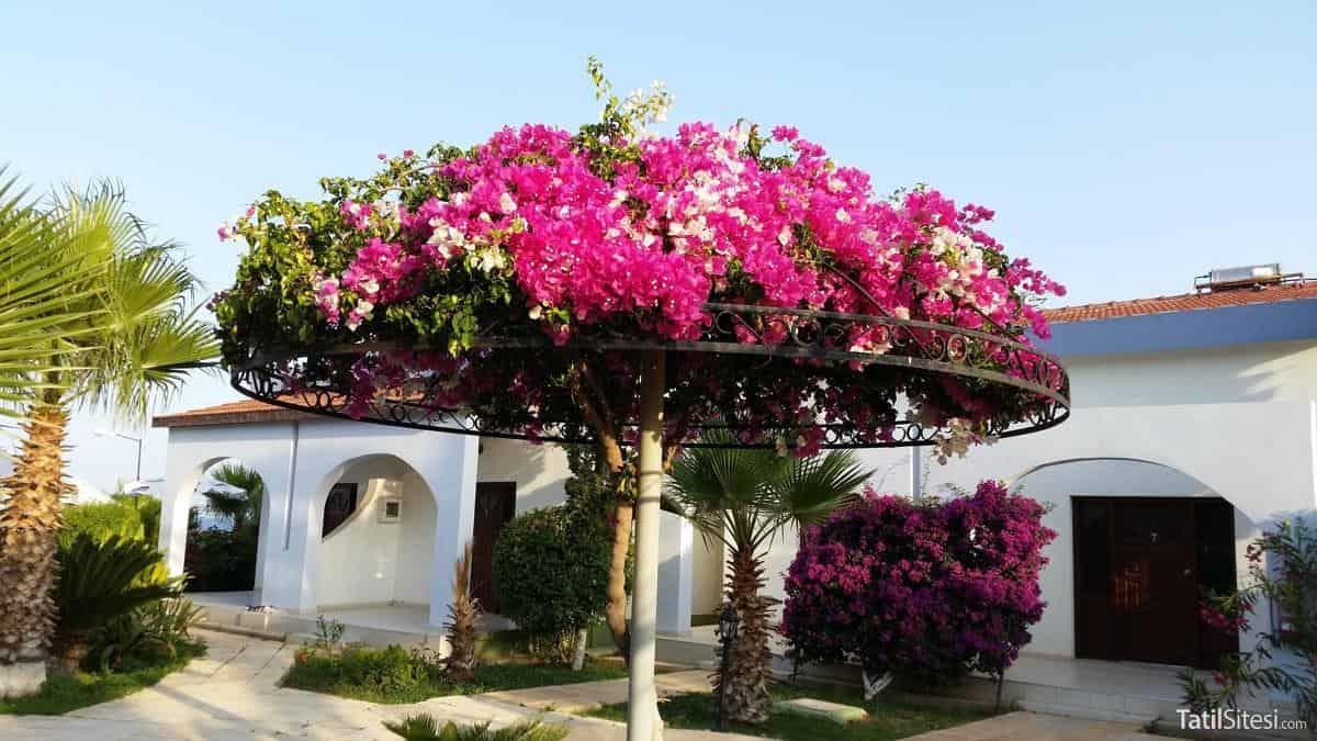 Crystal Rocks Holiday Resort