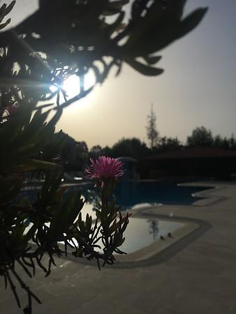 Dalyan Palmiye Resort Hotel