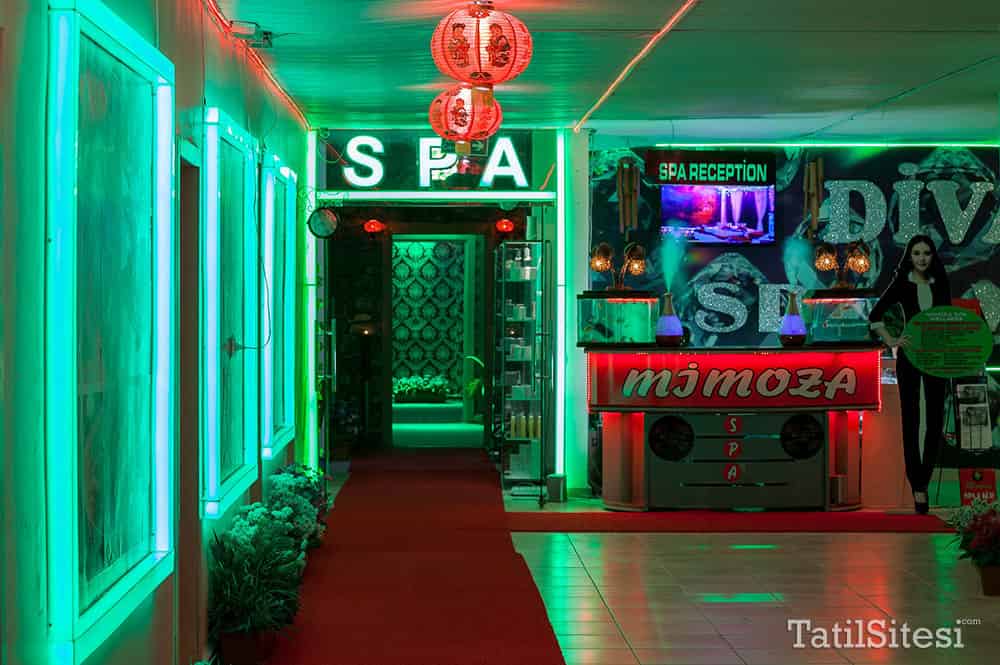 Divaisib Termal Resort Hotel  Spa