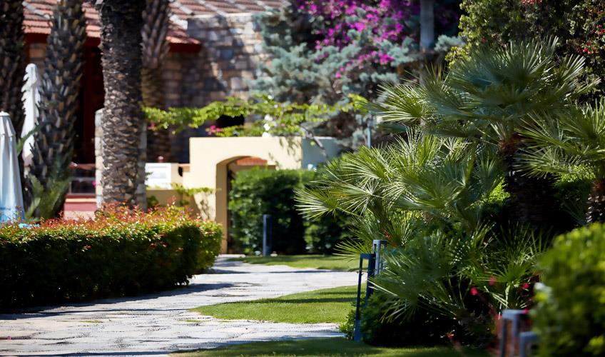 Dıvan Bodrum Palmıra