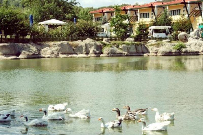 Doga Club Tatil Koyu