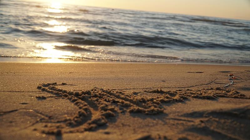 Flora Garden Ephesus