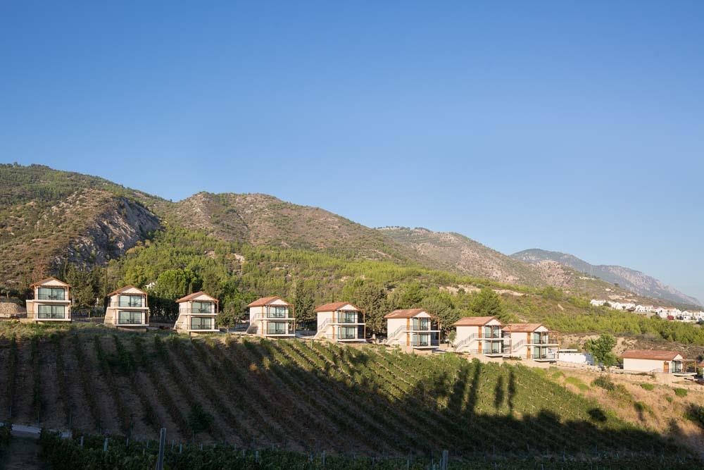 Gillham Vineyard Hotel