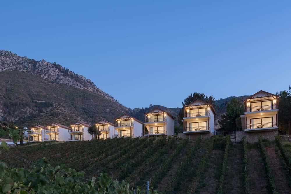 Gillham Vineyard Hotel