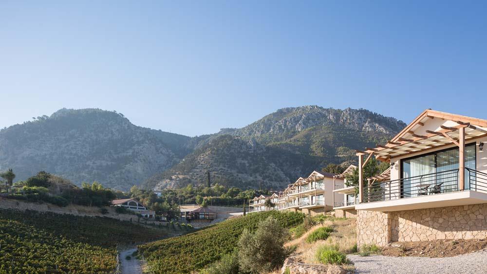 Gillham Vineyard Hotel