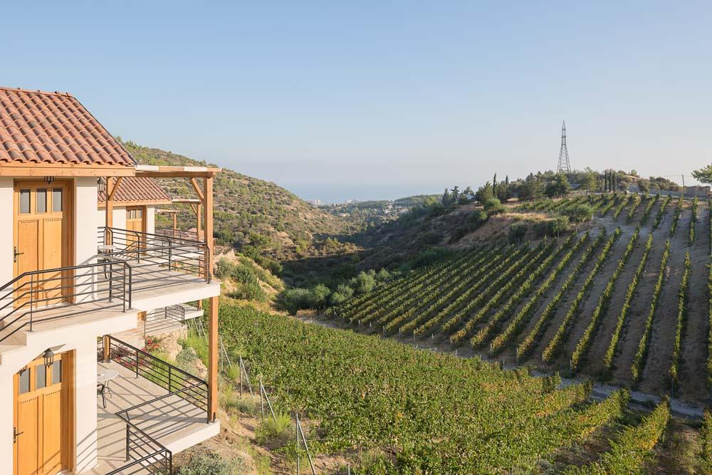 Gillham Vineyard Hotel