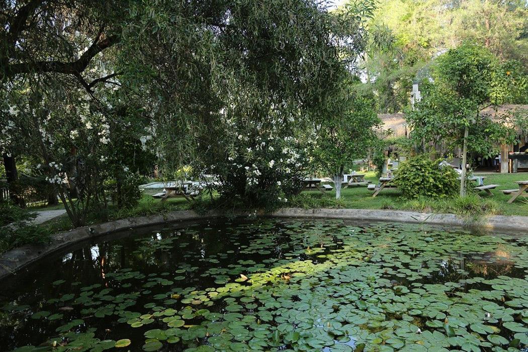 Golden Key Bördübet