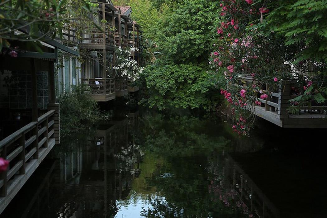 Golden Key Bördübet