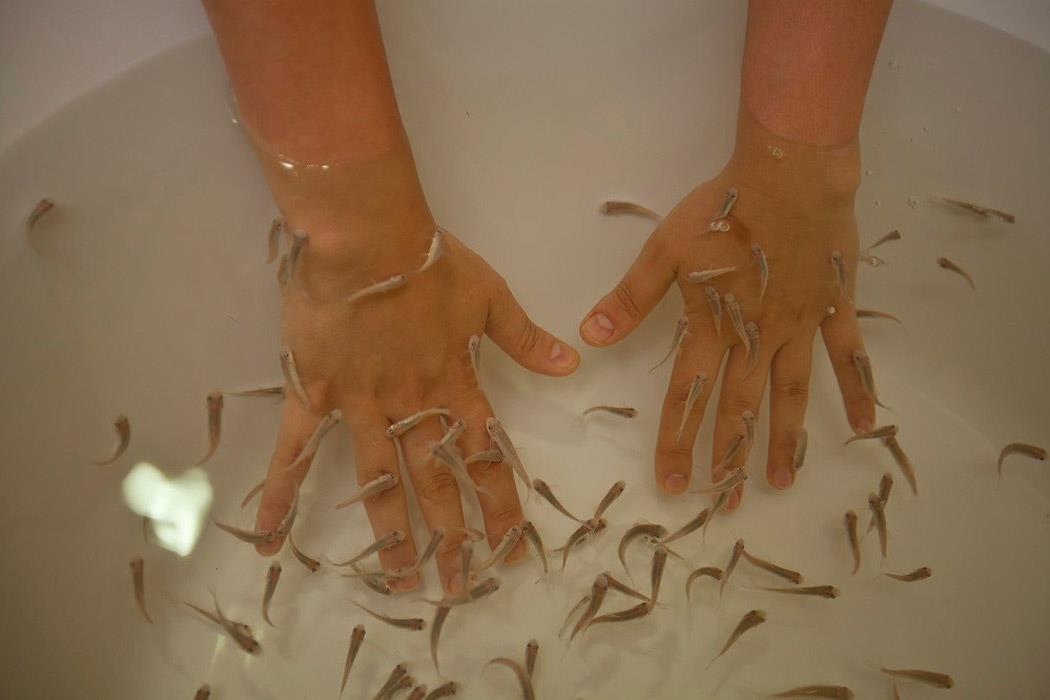 Green Nature Resort Spa Hotel