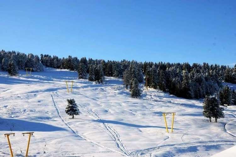 Hotel Genç Yazıcı