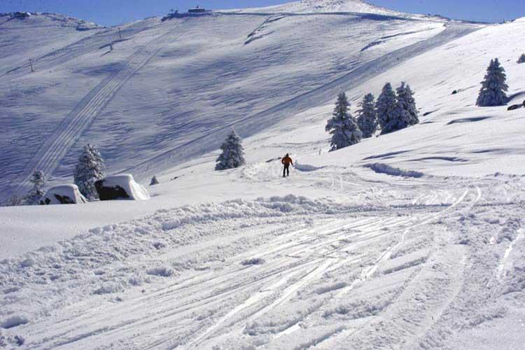 Hotel Genç Yazıcı