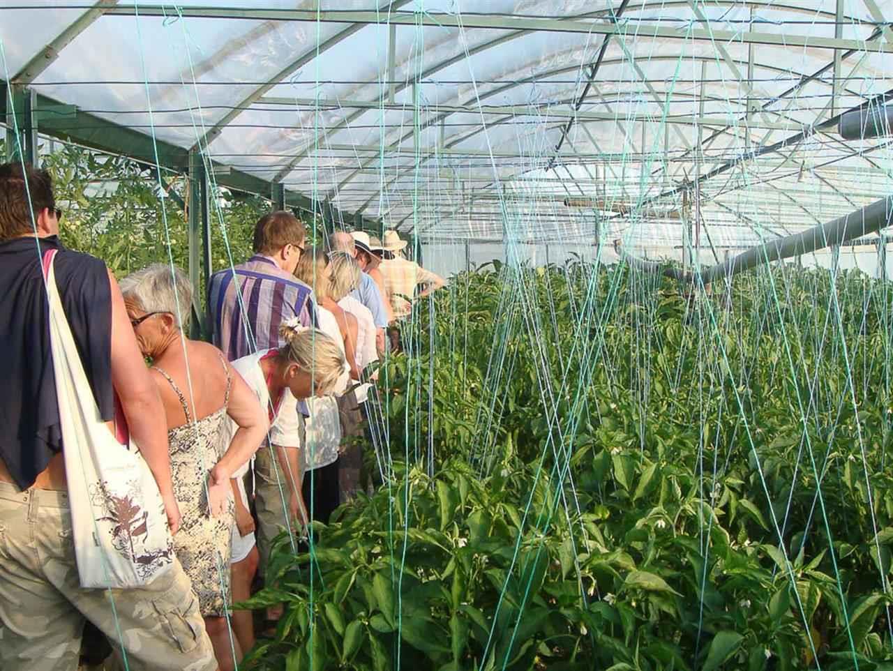 Kalkan Regency Hotel