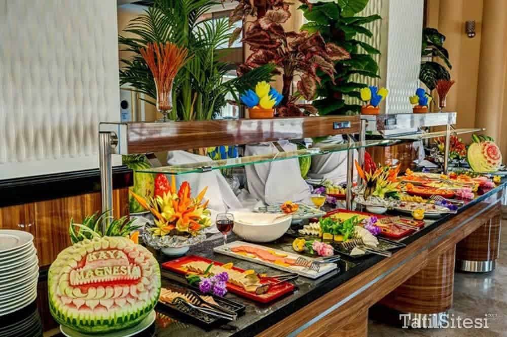 Kaya Magnesia Hotel Thermal Spa & Wellness