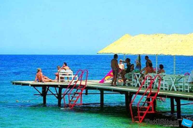 Montana Beach Club
