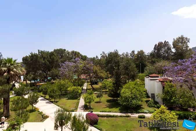 Majesty Club La Mer Art 