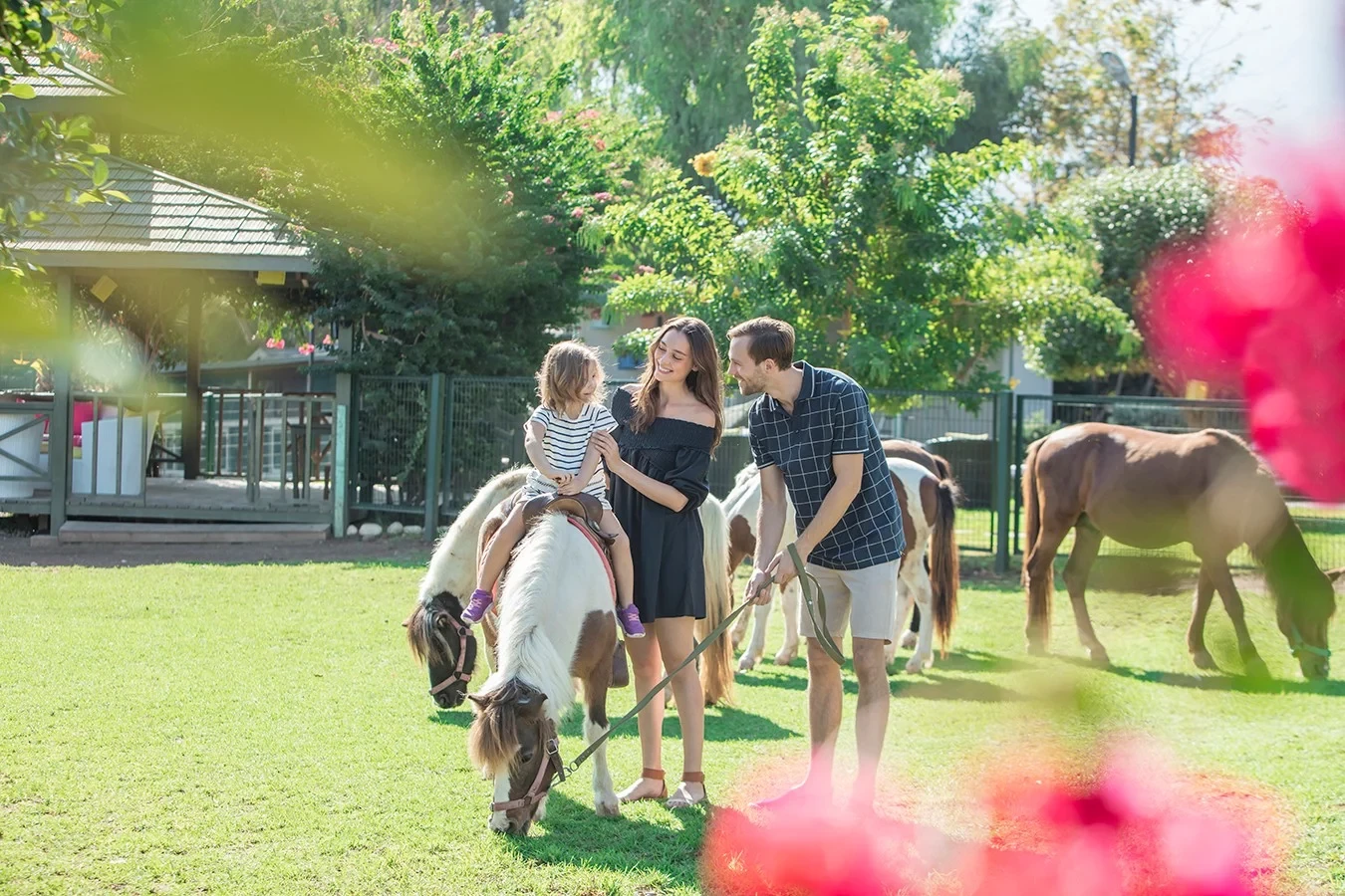 Merit Crystal Cove Hotel & Spa