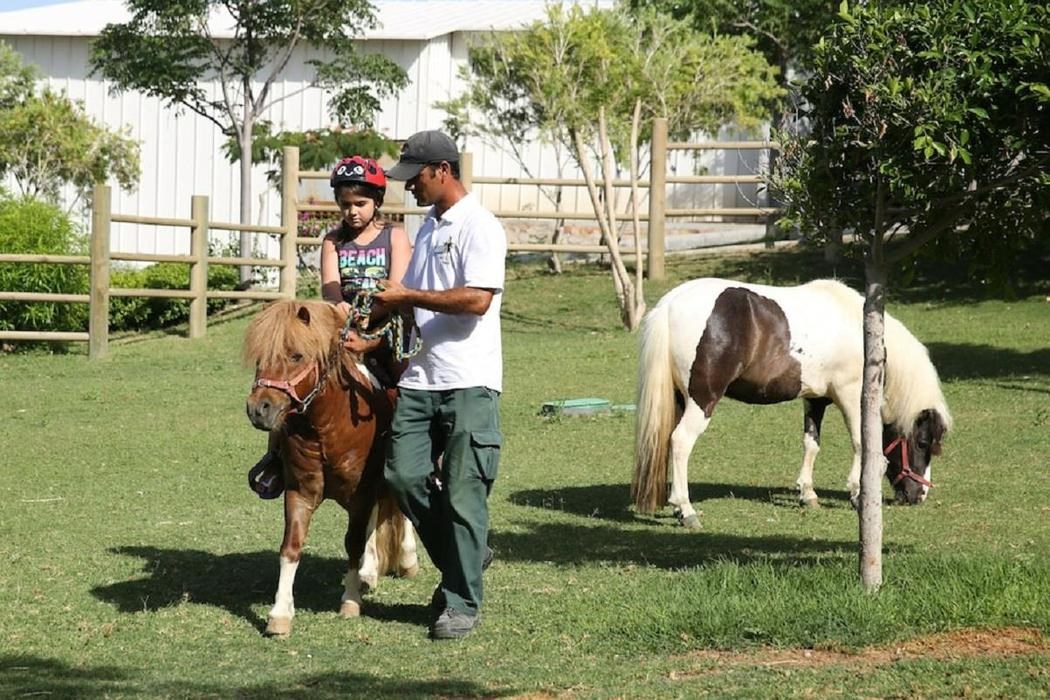 Merit Park Hotel & Spa