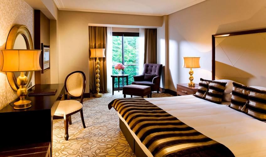 NG Sapanca Wellness & Convention