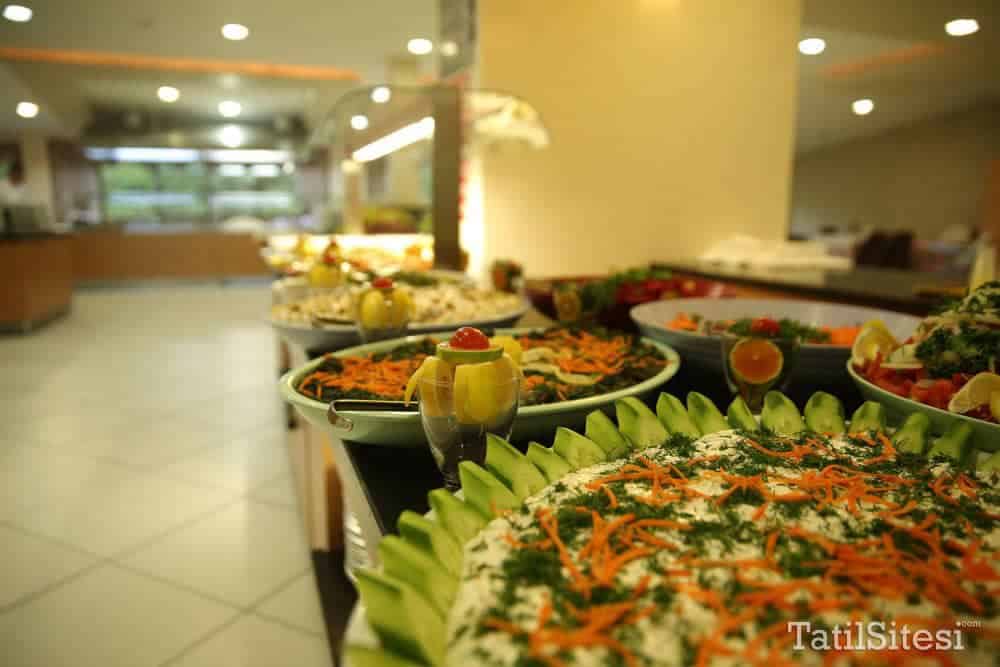 Oylat Kaplıcaları Aşiyan