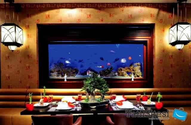 Paloma Renaissance Beach Resort & SPA