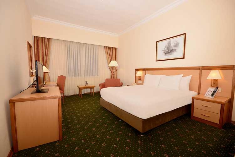 Polat Erzurum Resort Hotel