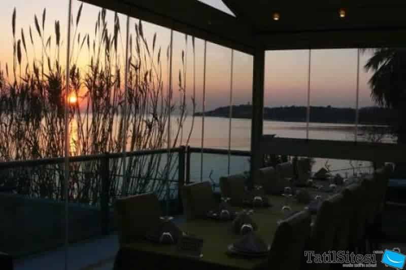 Coast Light Hotel (Passive)