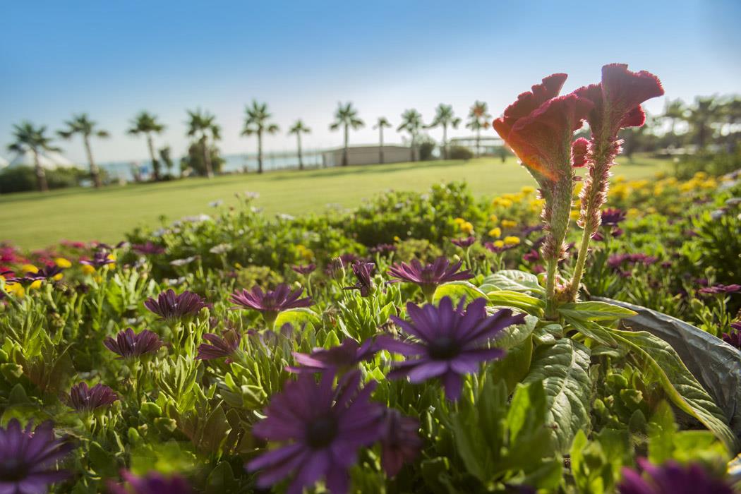 Soho Beach Club Hotel