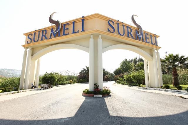 Palm Wings Ephesus Hotel (ex Sürmeli Efes Hotel)