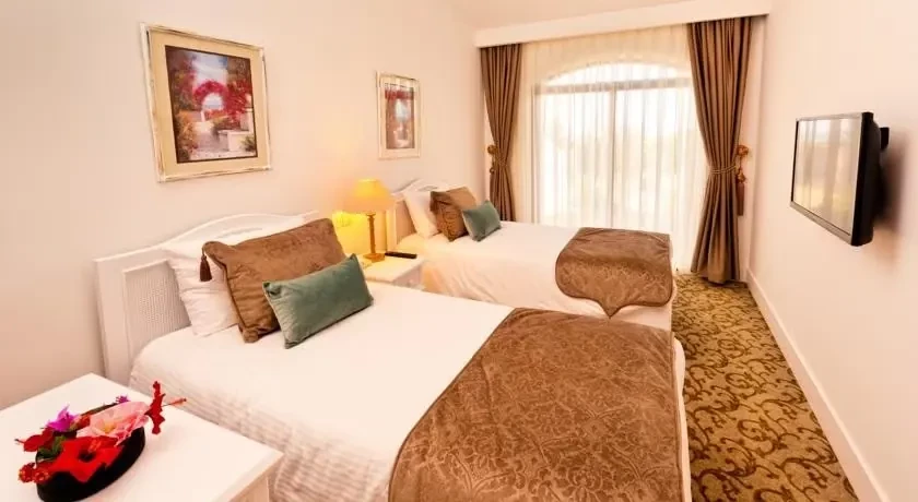 The Olive Tree Hotel